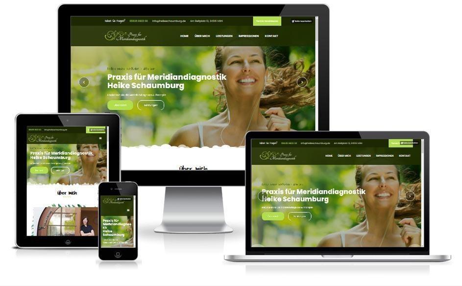 Meridian Diagnostik Therapie